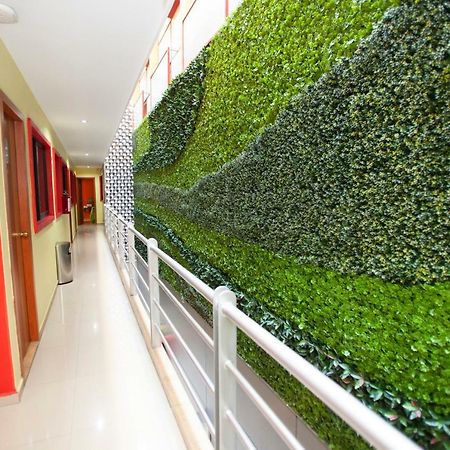 Hotel Lira - Solo Adultos Città del Messico Esterno foto